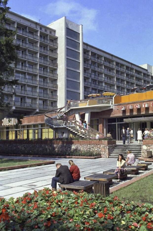 vpervye-uvidel-kotorye-krasivye-fotografii-neobychnye-fotografii vpervye-uvidel-kotorye-krasivye-fotografii-neobychnye-fotografii