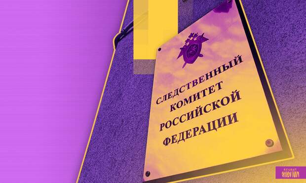 Похитителей девятилетней девочки в Смоленске проверят на похожие преступления