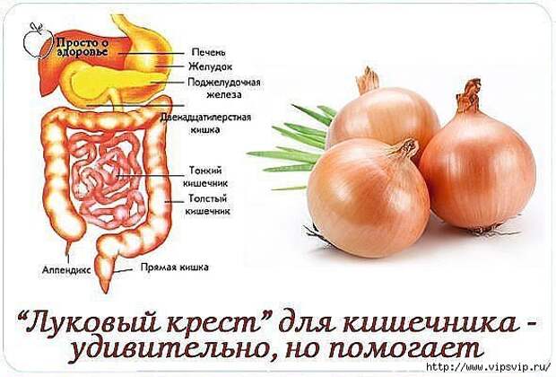 5745884_lykovii_krest_dlya_zdorovya (590x400, 134Kb)