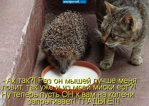 Мысли вслух :)