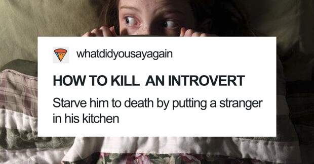 37+ Funny Introvert Tumblr Posts To Read While You Hide From People
