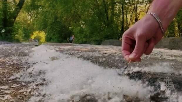 Наказывают ли у нас вредителей за поджог травы?