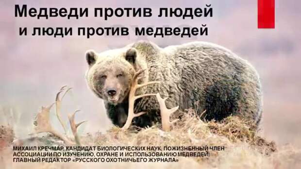 Михаил Кречмар: "Медведи vs люди"