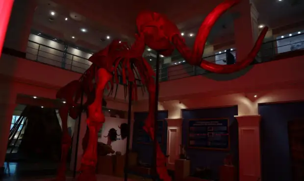 Главный музей Ямала на майские праздники подготовил программу для молодежи по «Пушкинской карте»