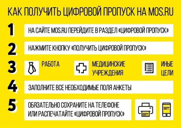 Инфографика. Фото: mos.ru