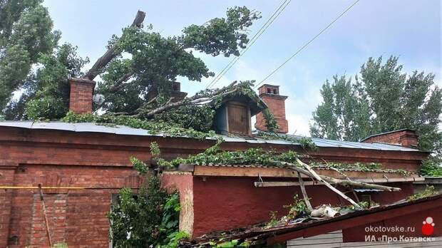 Котовские коммунальщики устраняют последствия падения дерева на крышу жилого дома