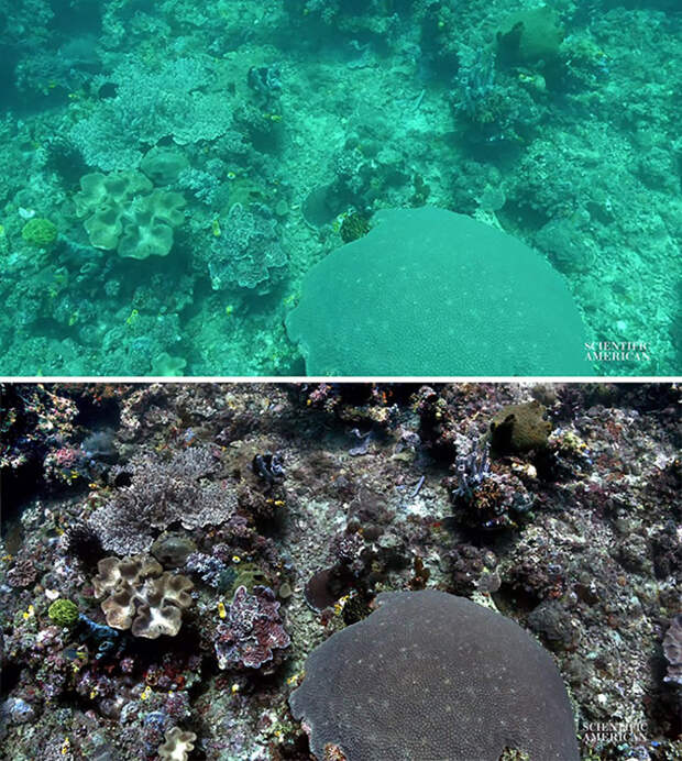 Море без воды