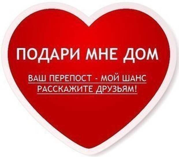 За каждой такой банальной историей стоят ЖИЗНИ! Просим помочь! Умоляем!