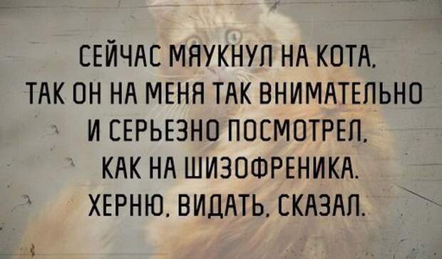 Актуальные цитаты
