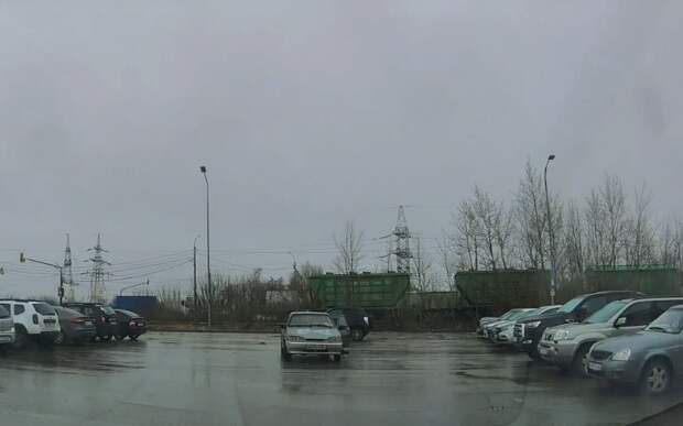 В Рязани неизвестный выкинул щенка рядом с дорогой