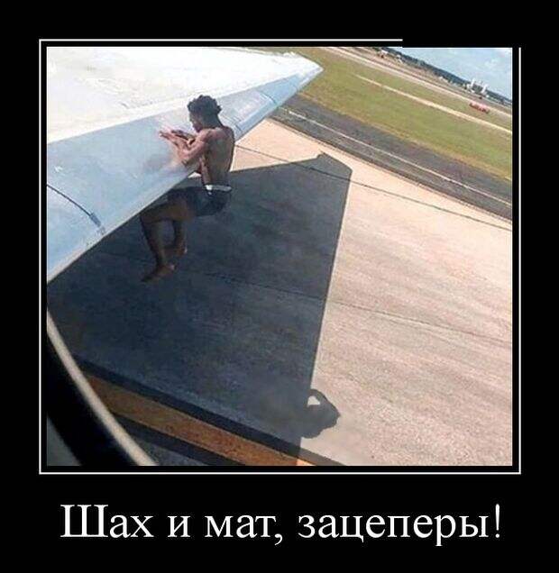 Демотиваторы (30 фото)