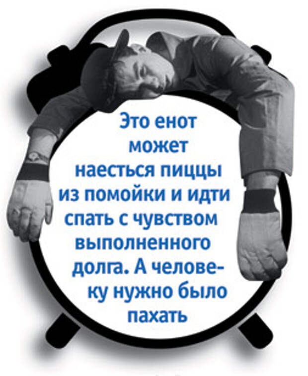 Проснись и спи. Как высыпаться за 4 часа в сутки Проснись и спи. Как высыпаться за 4 часа в сутки