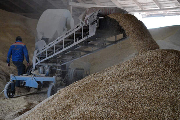 РИА Новости: ООН, Турция не называли сроков зерновой сделки, чтобы ее не сорвать