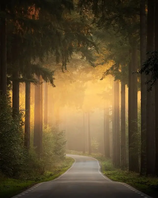 ��������� ����