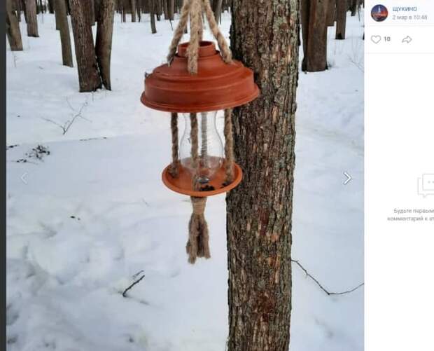 Необычные кормушки установили в Щукинском парке