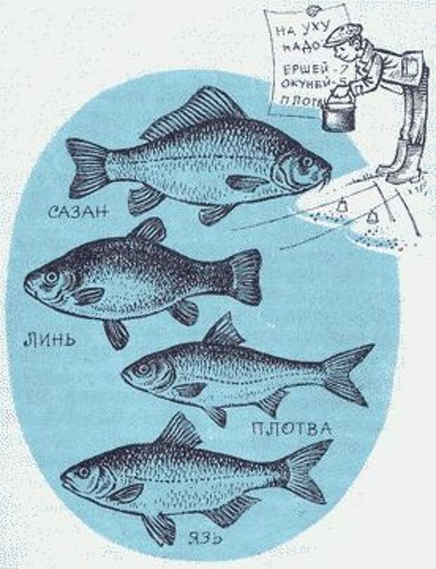 Юным рыболовам. Рыбьи Характеры