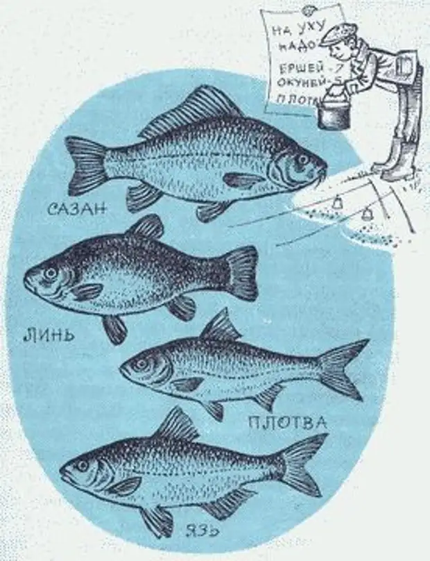 Верный рыба. Квалификация рыбаков.