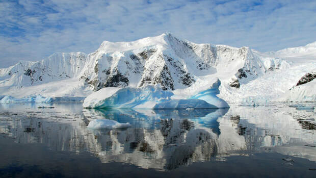 Российские ученые обнаружили в Антарктиде "тайный" оазис с пингвинами и тюленями