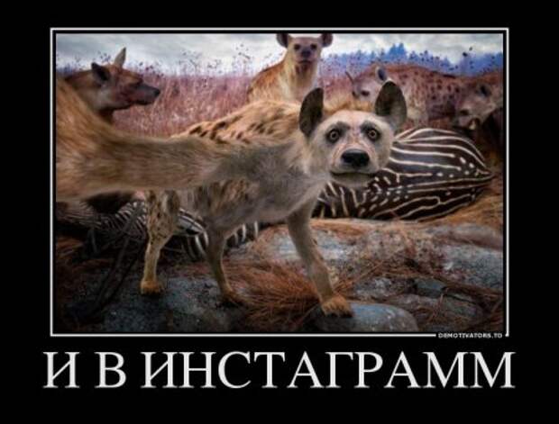 Долой трусы, смотри прикольные демотиваторы.