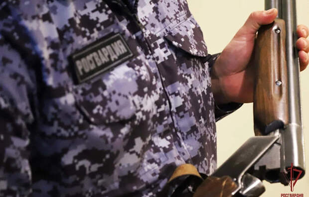 Тульские росгвардейцы за неделю изъяли 17 единиц оружия и свыше 80 патронов