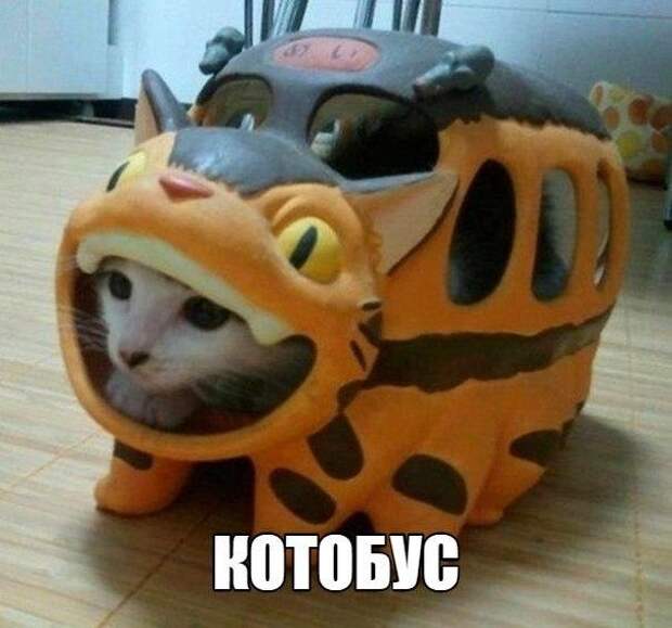 DBRc6Jk_-HE (604x565, 146Kb)