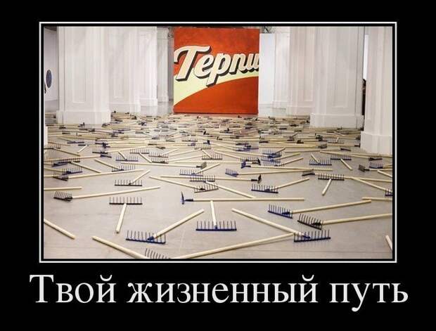 Прикольные демотиваторы Прикольные демотиваторы