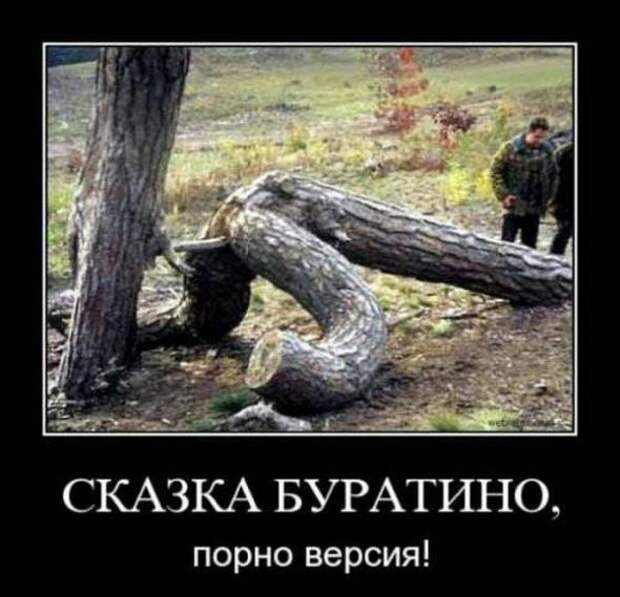 Новые демотиваторы с приколами и смыслом