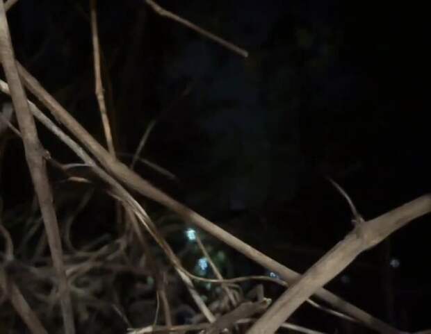 Донецк, было громко https://t.me/webmoney_dn/320312Video: Видео от Донецкая группа новостей|Донецк.ДНР