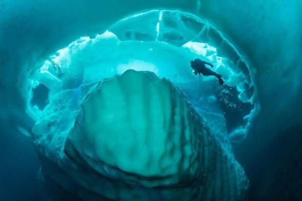 Там же, в Канаде, делают водку « Iceberg» в состав которой входит вода, добытая из айсбергов Там же, в Канаде, делают водку « Iceberg» в состав которой входит вода, добытая из айсбергов айсберг, интересное, лед, под водой, природа