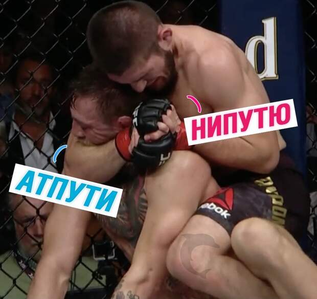 Нурмагомедов победил Макгрегора