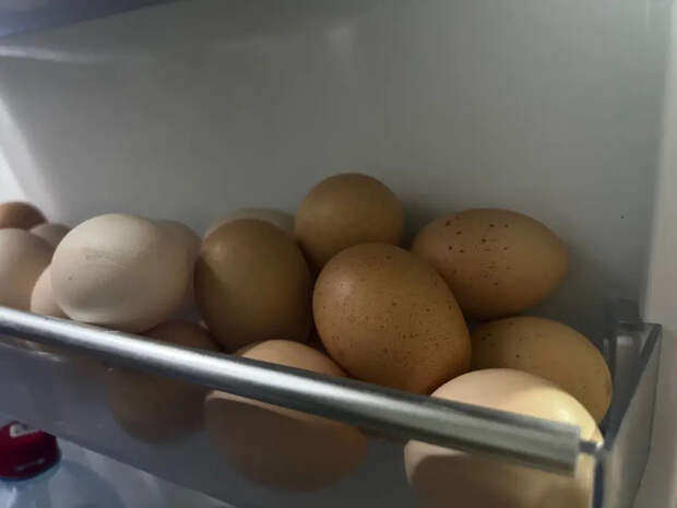 Научный подход: почему одни яйца чистятся без боя, а другие приходится долбить