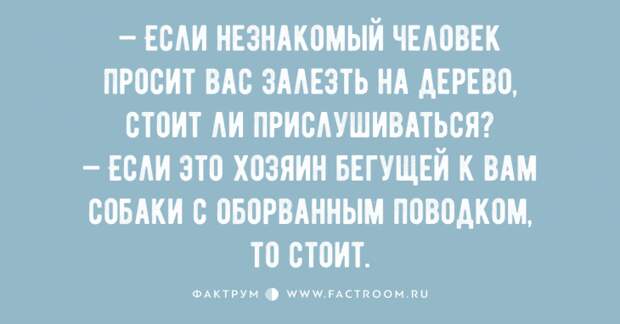 Десятка отменных анекдотов, поднимающая настроение Десятка отменных анекдотов, поднимающая настроение
