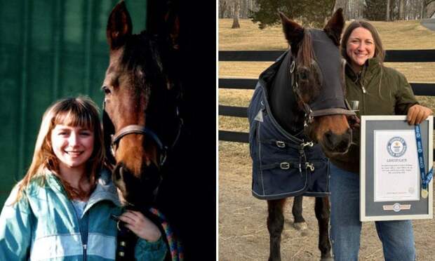 Как живет самая старая лошадь в мире: кобыле Фэнси в апреле исполнится 38 лет