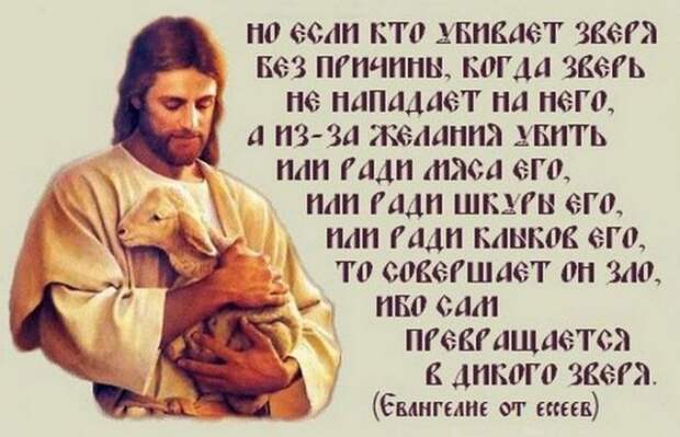 Что скрывает Ватикан в своих закрытых архивах Что скрывает Ватикан в своих закрытых архивах
