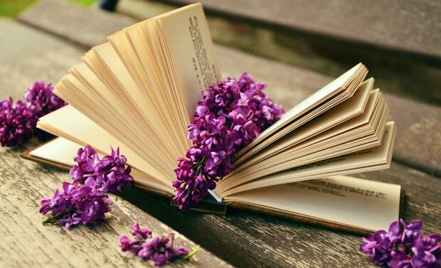 Книга. Фото: pixabay.com