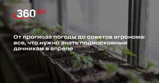 Агроном Тихонова рассказала, что делать в апреле на огороде в Подмосковье