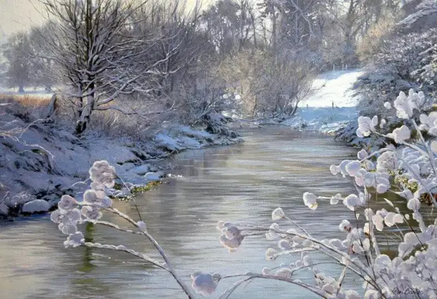  Peter Barker ( )