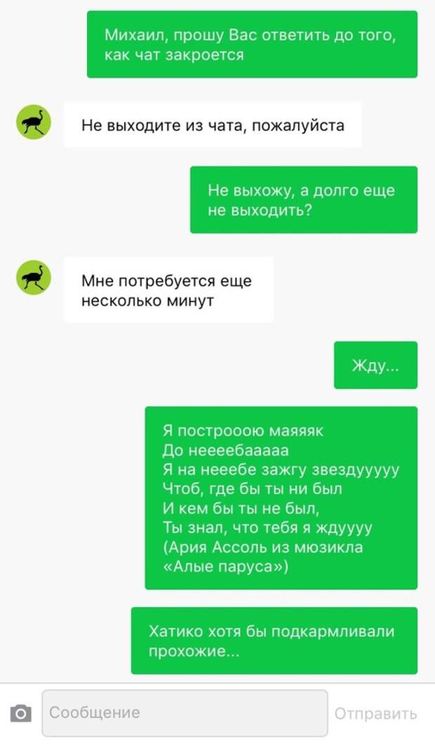 Подборка картинок. Дневной выпуск (20 фото)