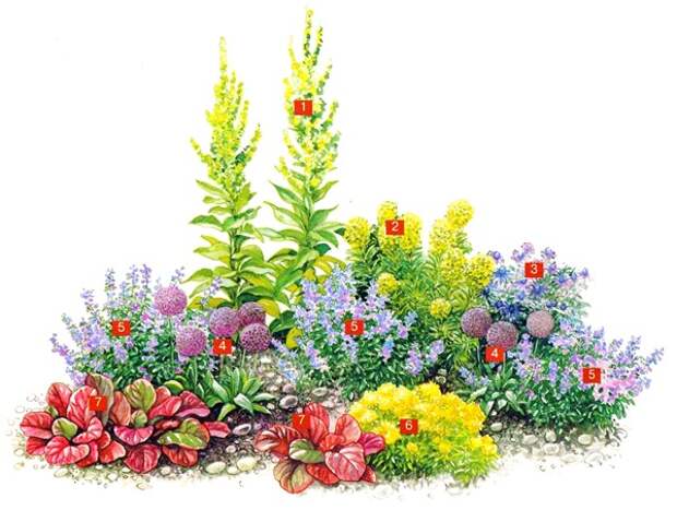 Схема цветника для сухой земли