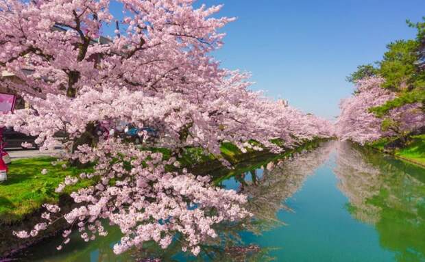 https://img.lifter.com.ua/data/2018/september/4045/japan.jpg
