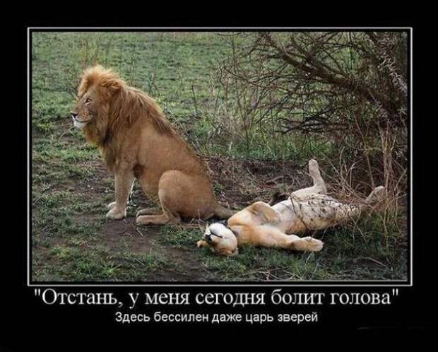 Новые демотиваторы с приколами и смыслом