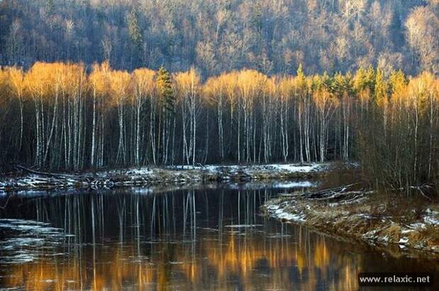 Andris_Eglitis_017 Andris_Eglitis_017