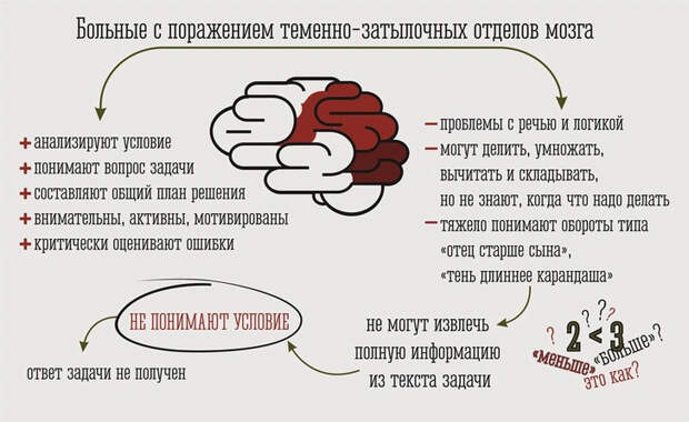 2 + 2 = ? Почему некоторые люди не понимают математику | vokrugsveta.ru