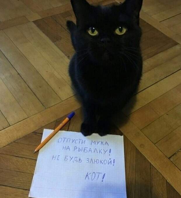 Что-то подсказывает, что кто-то начал пользоваться этой разработкой в корыстных целях Что-то подсказывает, что кто-то начал пользоваться этой разработкой в корыстных целях