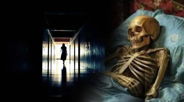 Покойник за стеной: жуткая история Хедвиги Голик, смерть которой не замечали 42 года