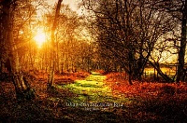 ФОТОГРАФ MIKE SHAW 42