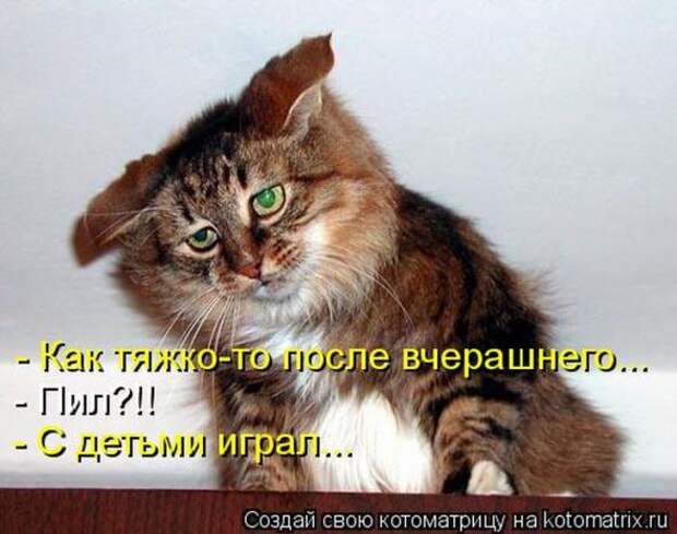 Котоматрицы (забавные картинки с надписями)