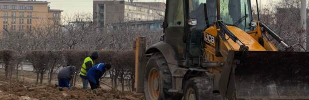 Какие работы по благоустройству проводят в Актау