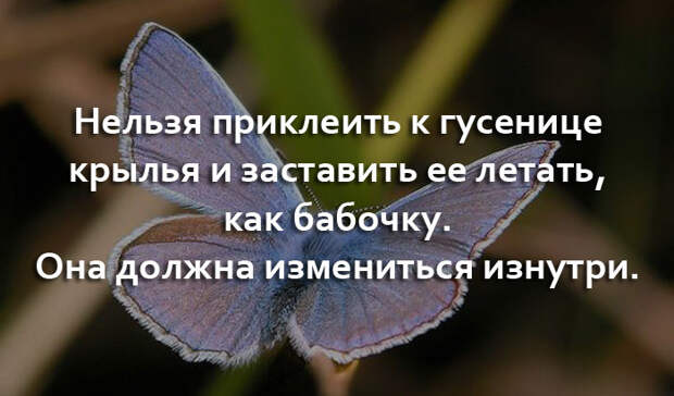 Потрясающие цитаты Ошо о жизни, любви и свободе