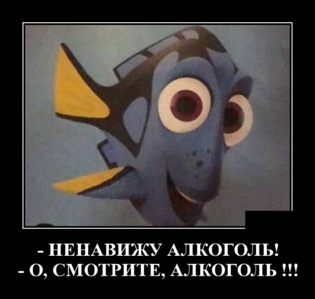 www.vsyako.net
